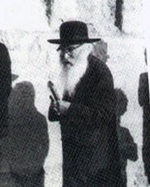 Rabbi Levin