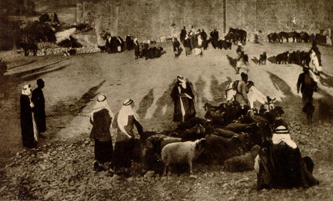 Alma Mahler in Jerusalem